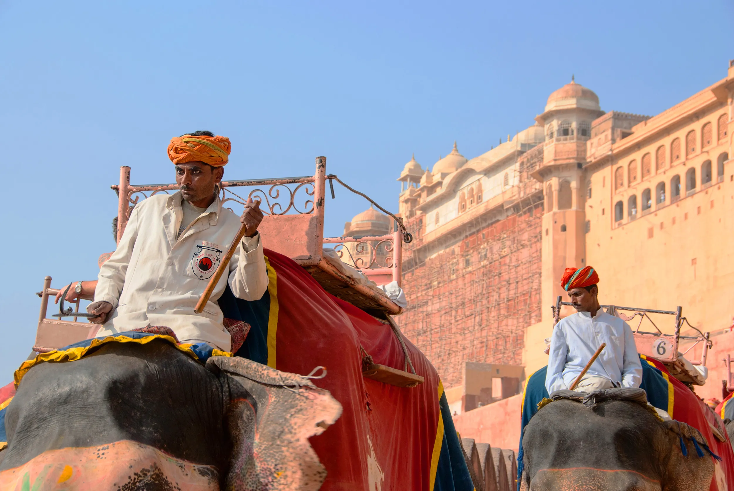 Amber Fort with elephant