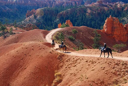 Bryce Canyon Horse