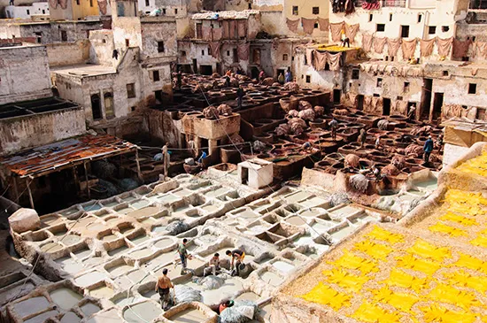 Fez, tannery