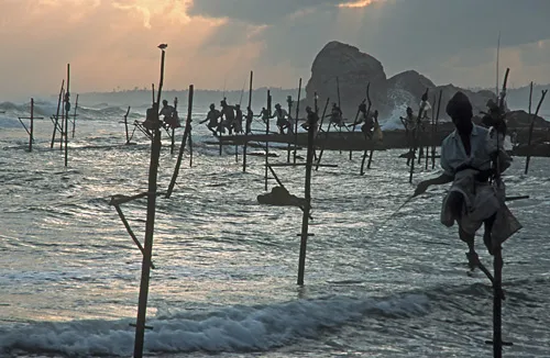 Stilt fishermen at sunset