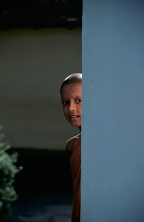 Young novice in game of peek-a-boo