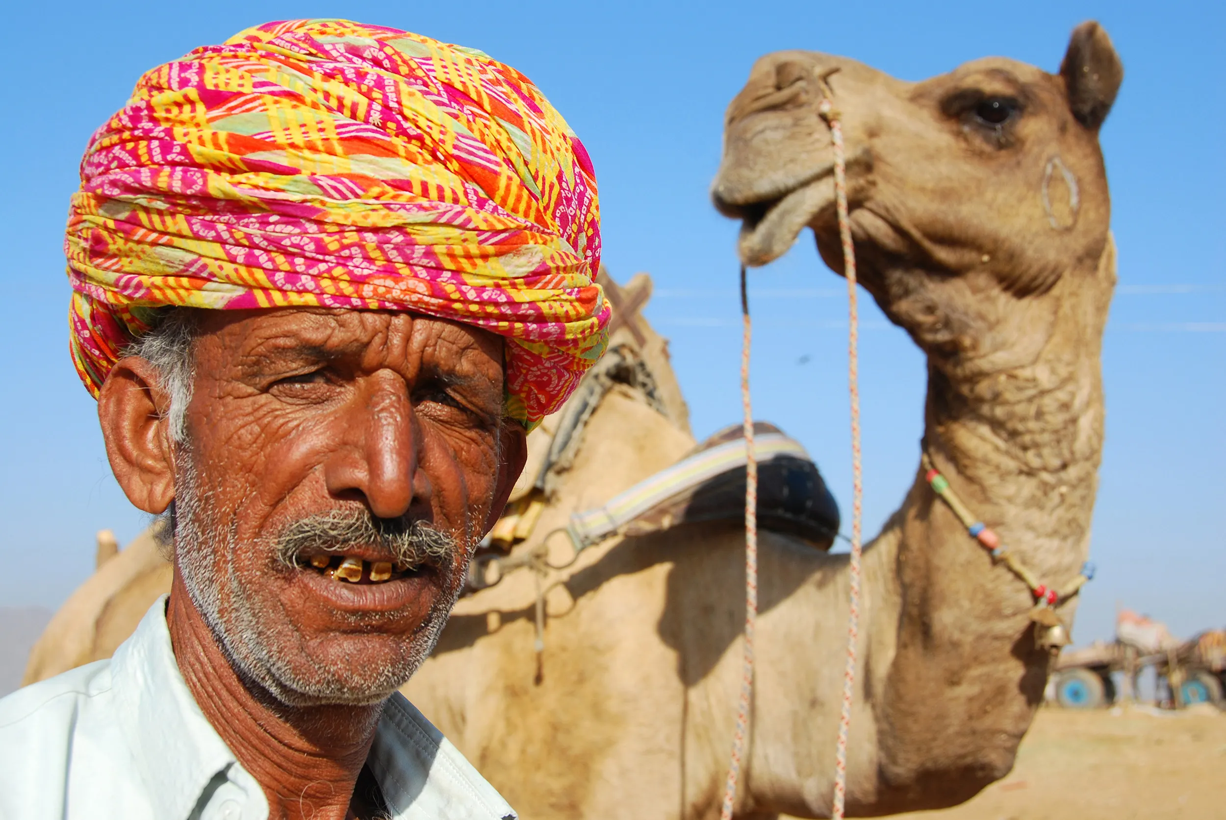 Pushkar man and his camel