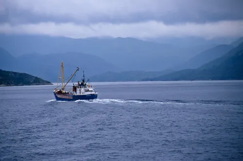 Small Fishing Boat