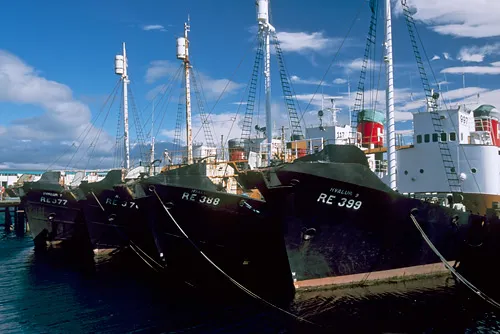 Reykjavik harbor