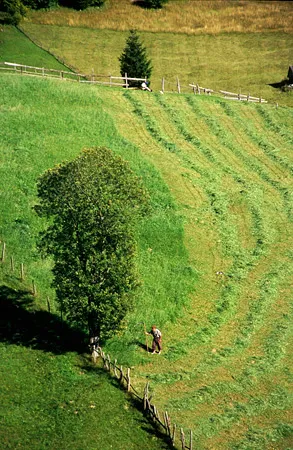 Field worker