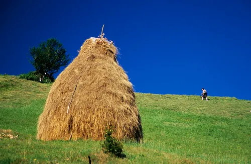 Hay Stack