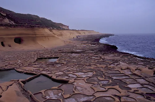 Intriguing patterns of the salt panes