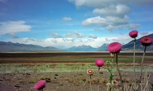 Outside of El Calafate, Santa Cruz Province