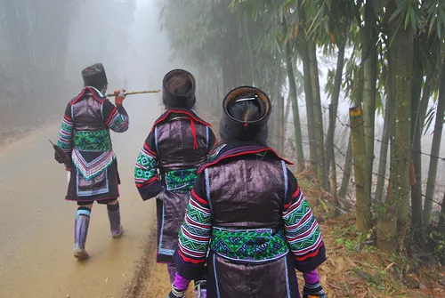 Sapa school girls on a foggy road