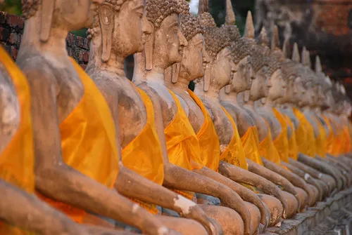 Wat Yai Chai Mongkhon Rows of Buddhas